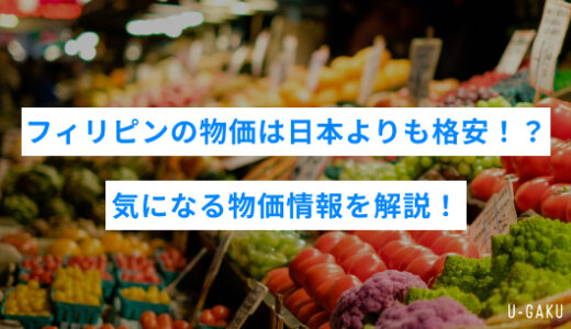 フィリピンの物価は日本よりも格安！？気になる物価情報を解説！