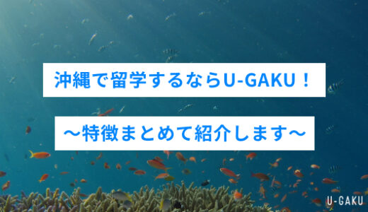 沖縄で留学するならU-GAKU！〜特徴まとめて紹介します〜