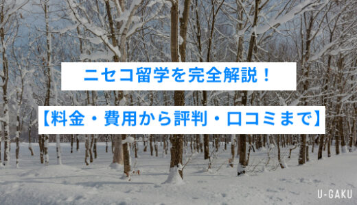 ニセコ留学を完全解説！【料金・費用から評判・口コミまで】