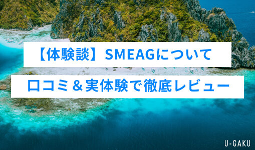 【体験談】SMEAGの口コミ＆実体験で徹底レビュー