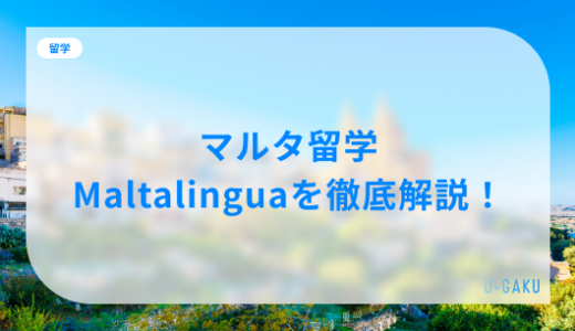 Maltalinguaの評判は？マルタ留学・Maltalinguaのリアルを徹底解説！