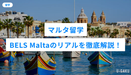 BELS Maltaの評判は？マルタ留学・ BELS Maltaのリアルを徹底解説！