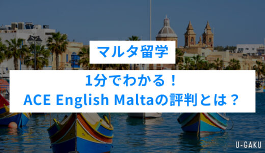 ACE English Maltaの評判は？マルタ留学・ ACE English Maltaのリアルを徹底解説！