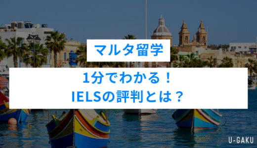 IELS Malta の評判は？マルタ留学・ IELS Malta のリアルを徹底解説！