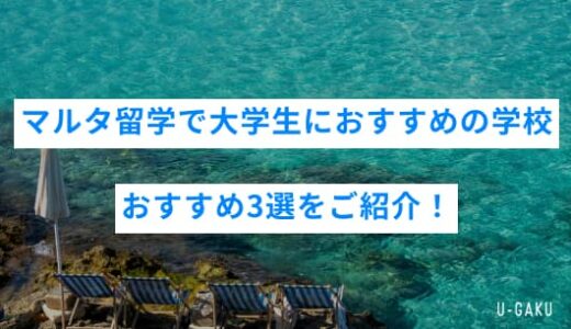 マルタ留学で大学生におすすめの学校は？おすすめ3選をご紹介！