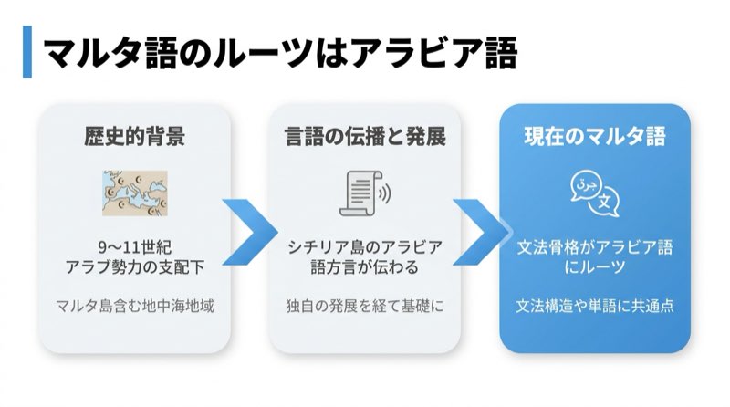マルタ語が使われる場面