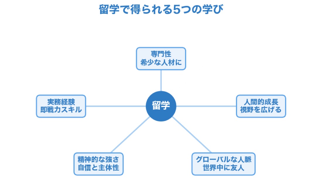 留学で得られる5つの学び（専門性・実務経験・人間的成長・精神的な強さ・グローバルな人脈）を示した概念図