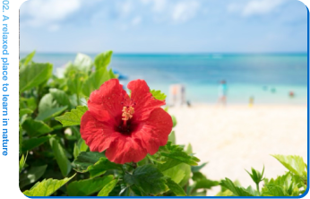 リラックスできる学習環境