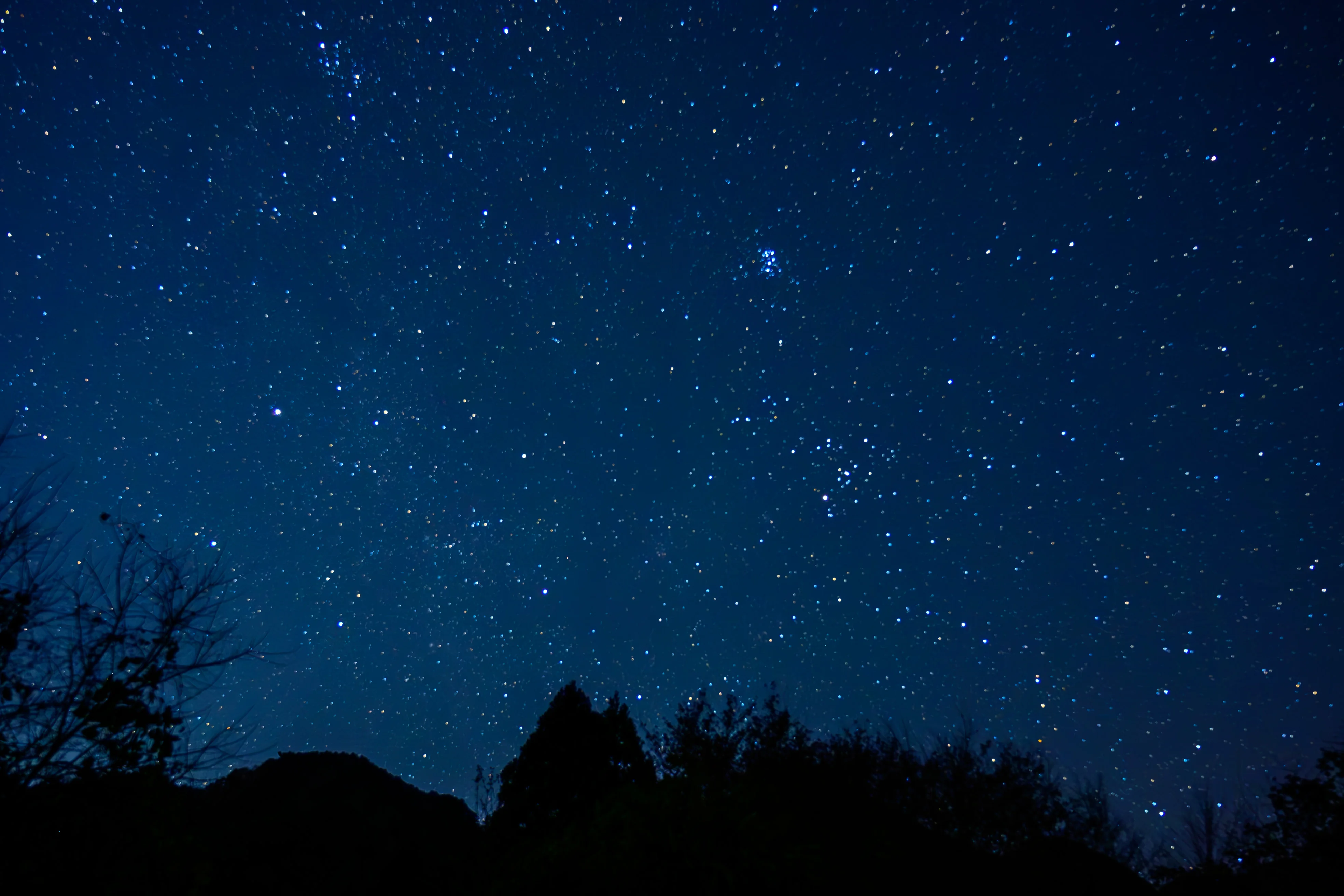 夜まで特別な思い出になる天体観測