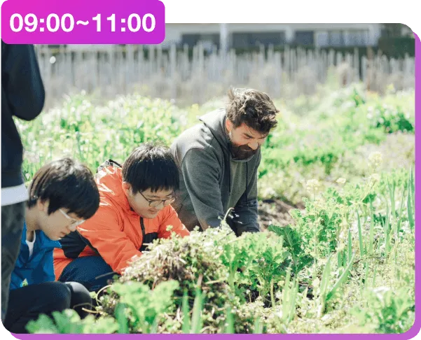 ファームワーク