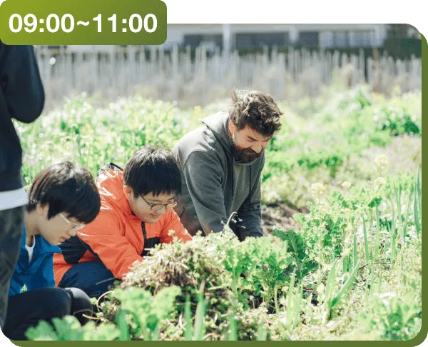 ファームワーク