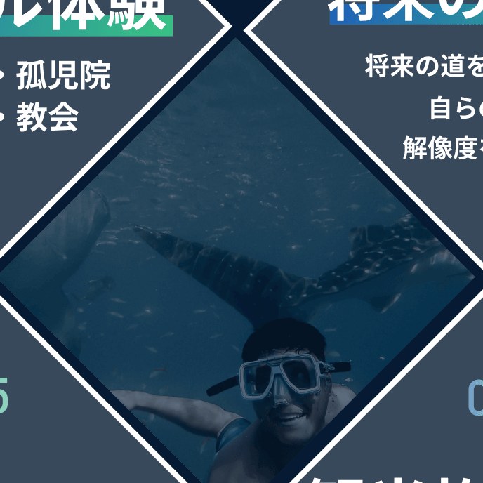 ジンベイザメウォッチの様子