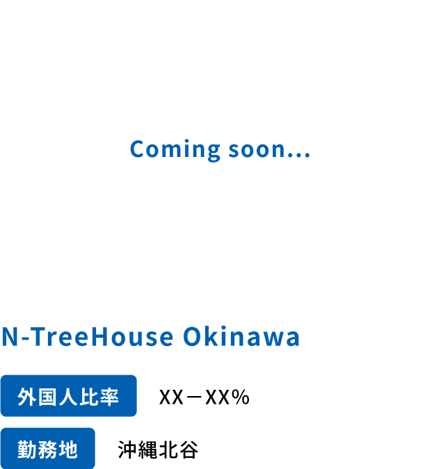 N-TreeHouse Okinawa