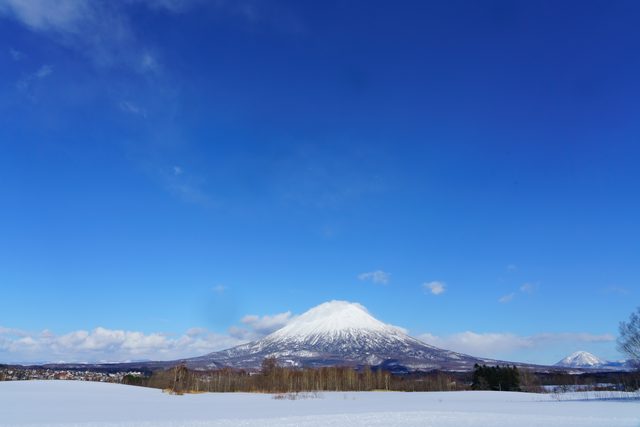 ニセコ