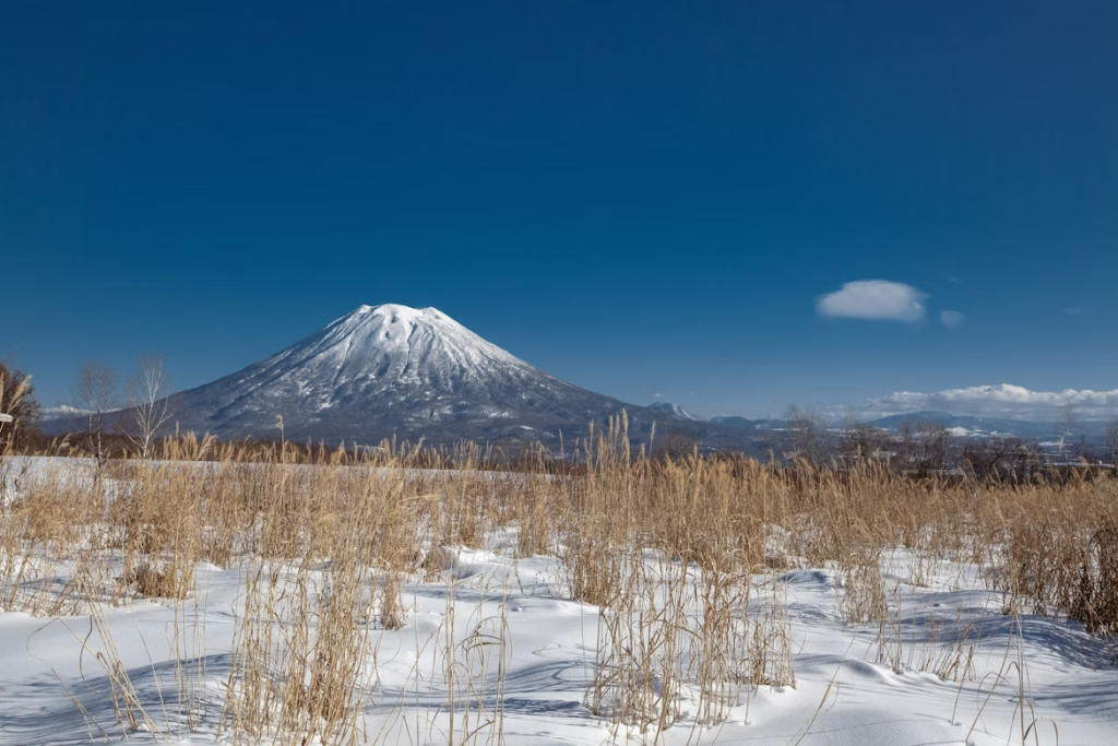 画像に alt 属性が指定されていません。ファイル名: image-11-1024x683.png