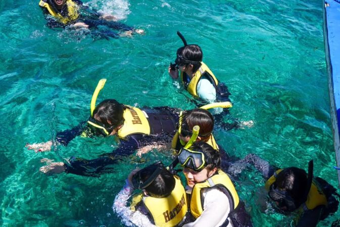 セブ島の海で十代〜成人の男女8人がシュノーケル